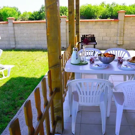 делфин - Delfin * Bŭlgarevo