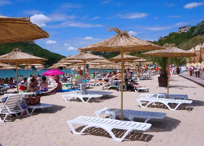 делфин - Delfin * Bŭlgarevo