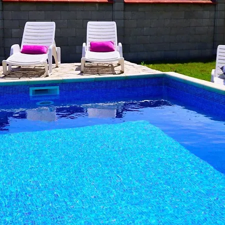 делфин - Delfin Булгарево