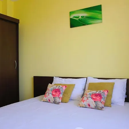 делфин - Delfin Болгарево