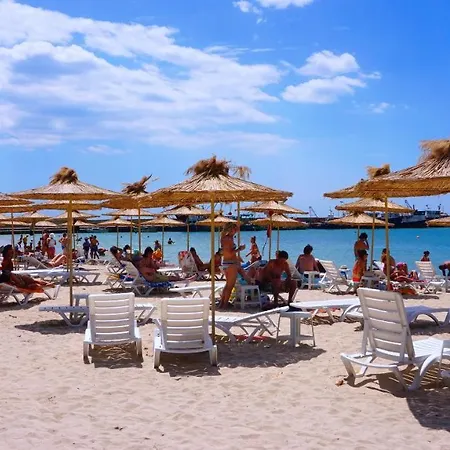 делфин - Delfin Болгарево