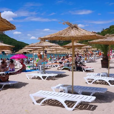 делфин - Delfin * Болгарево